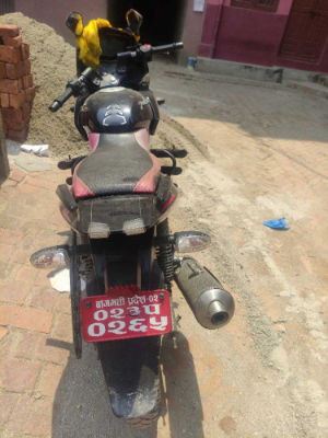 2019 Bajaj Plusar 150, photo 2