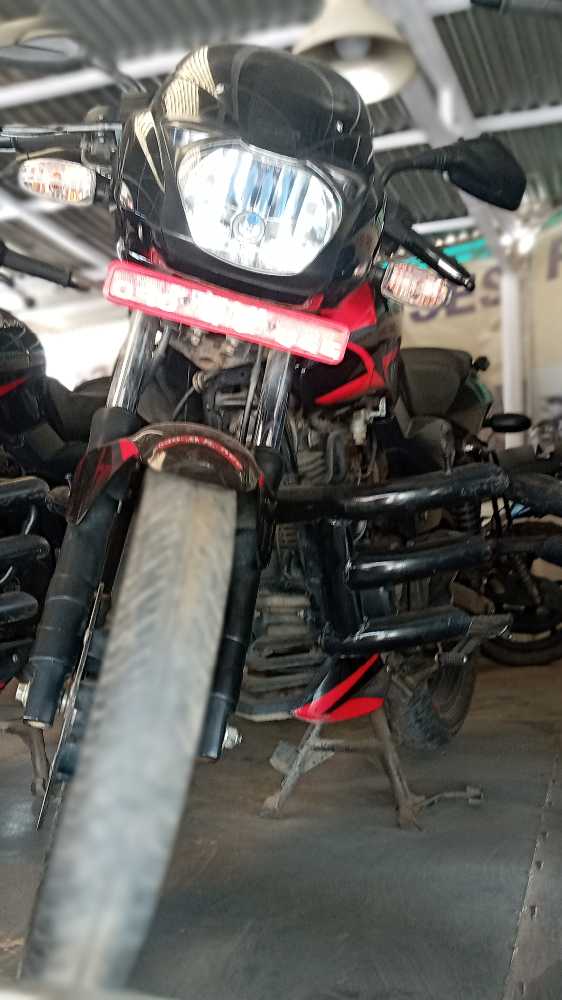 2019 Bajaj Plusar 150, photo 4