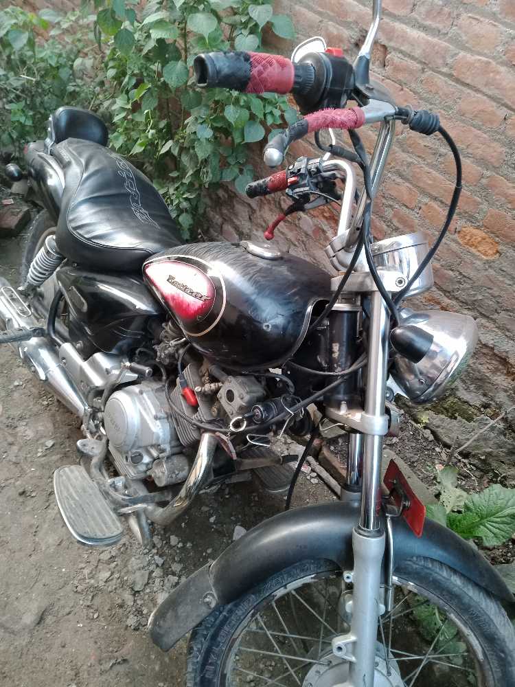 2002 Yamaha Enticer, photo 2