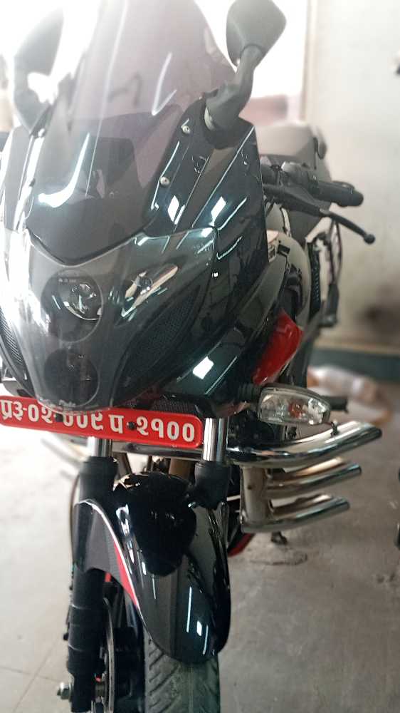 2018 Bajaj Plusar 220, photo 2