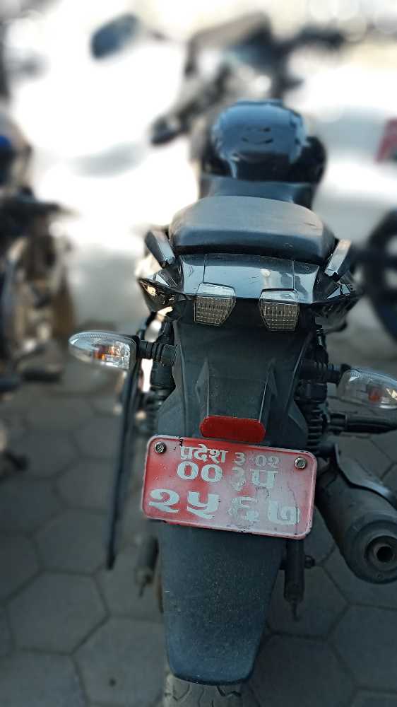 2019 Bajaj Plusar 150, photo 3