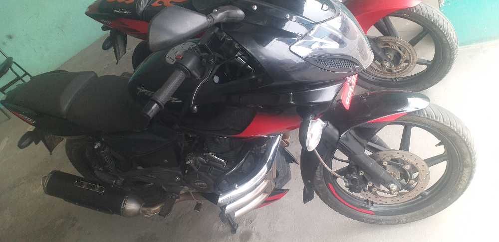 2019 Bajaj Plusar 220, photo 2