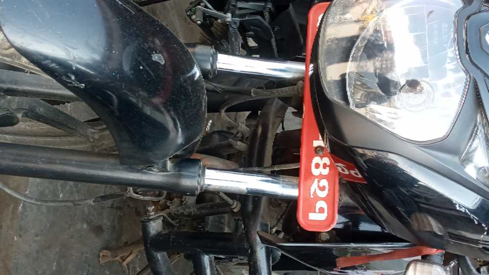 2010 Bajaj Plusar 150, photo 2