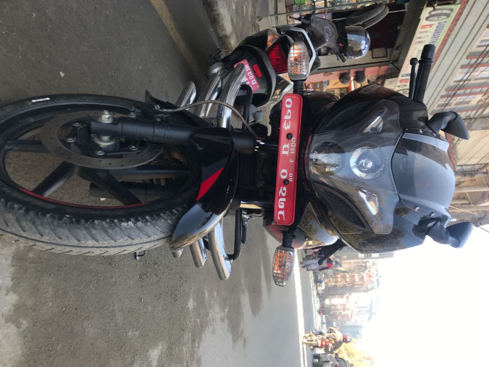 2019 Bajaj Plusar 220