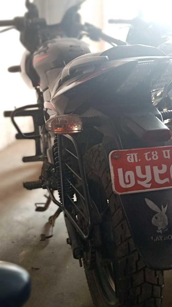 2016 Bajaj Plusar 220, photo 2
