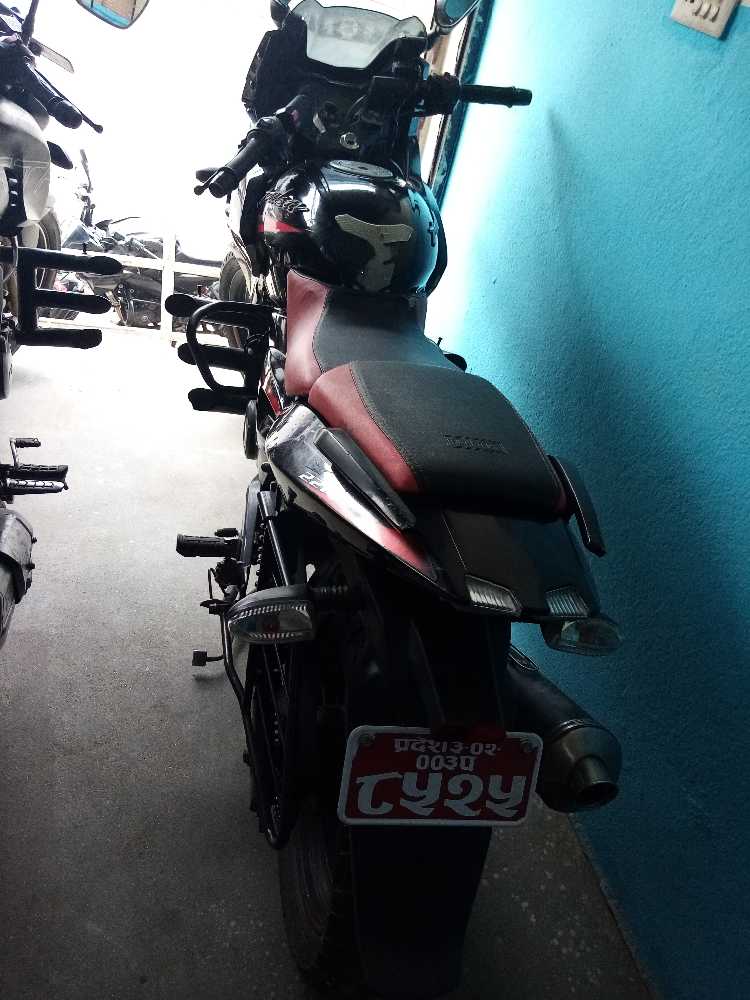 2019 Bajaj Plusar 220, photo 2