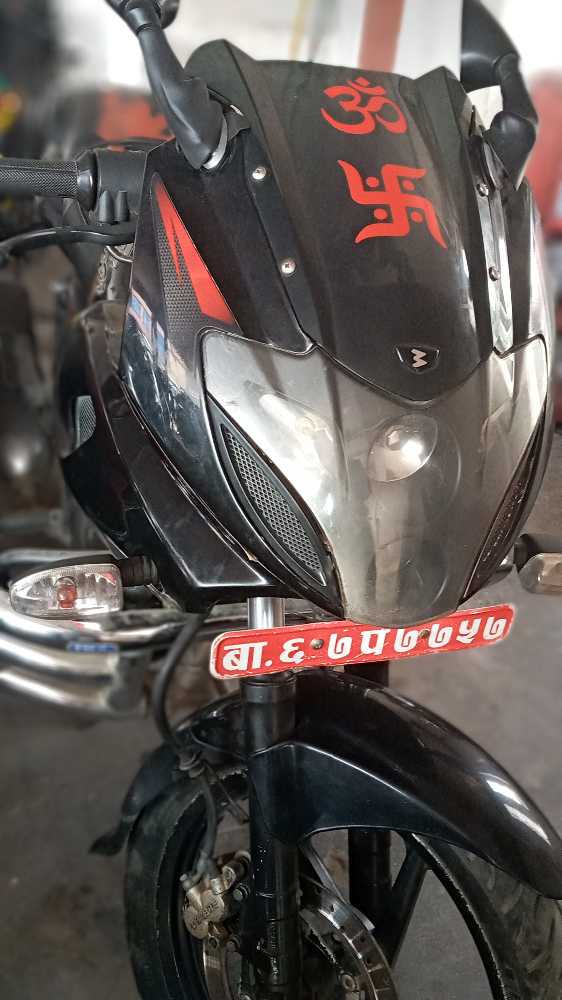 2015 Bajaj Plusar 220, photo 2