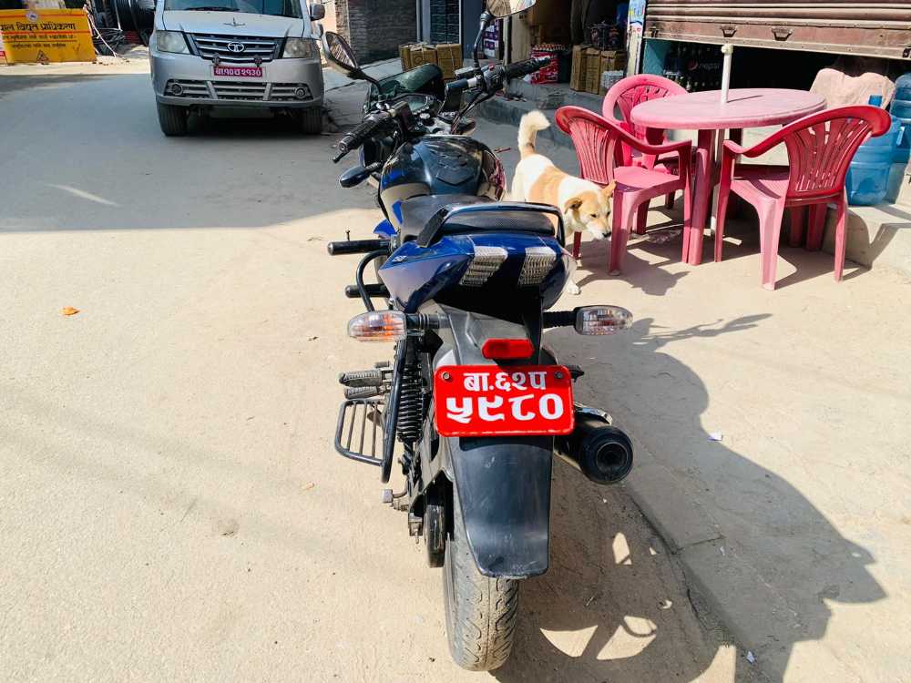 2014 Bajaj Plusar 150, photo 3