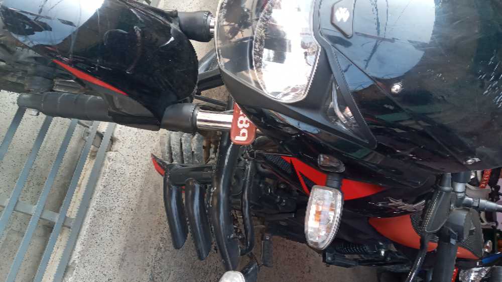 2019 Bajaj Plusar 150, photo 2