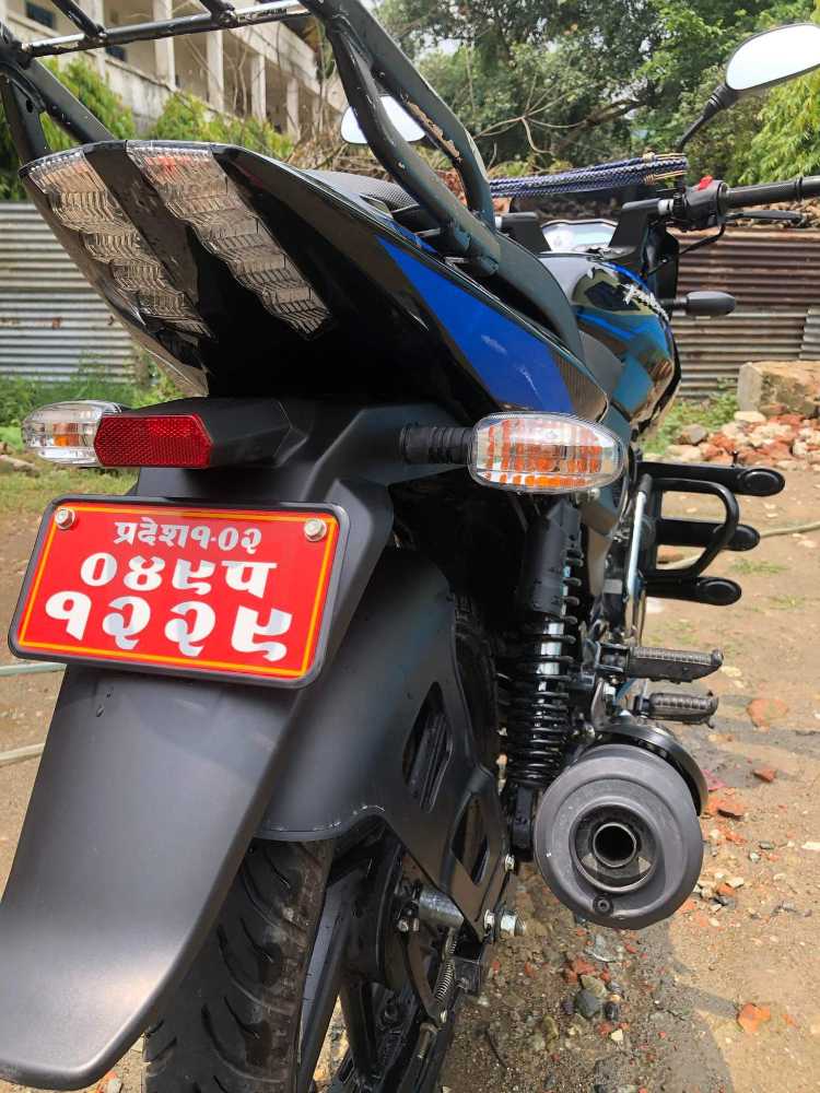 2020 Bajaj Plusar 150, photo 2