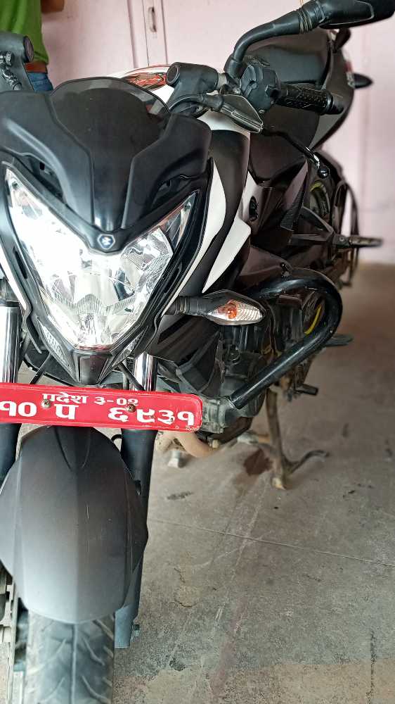 2019 Bajaj NS 200, photo 2