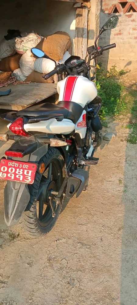 2018 Benelli TNT15, photo 2