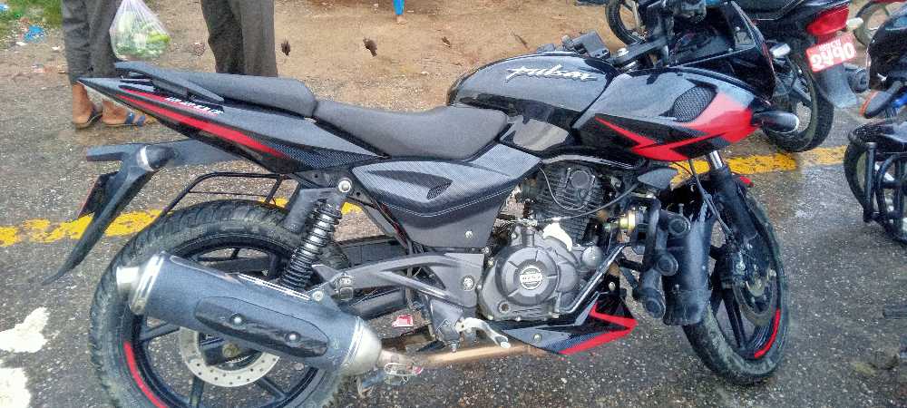 2020 Bajaj Plusar 150, photo 3