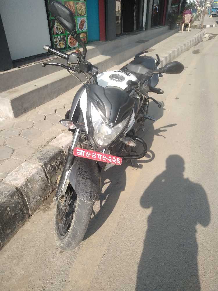 2018 Bajaj Plusar 150, photo 2