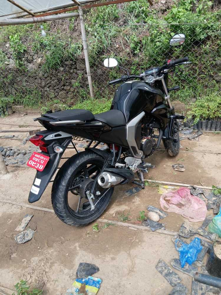 2025 Yamaha FZS