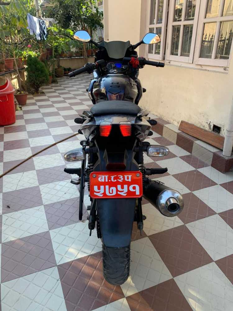 2019 Bajaj Plusar 150, photo 5