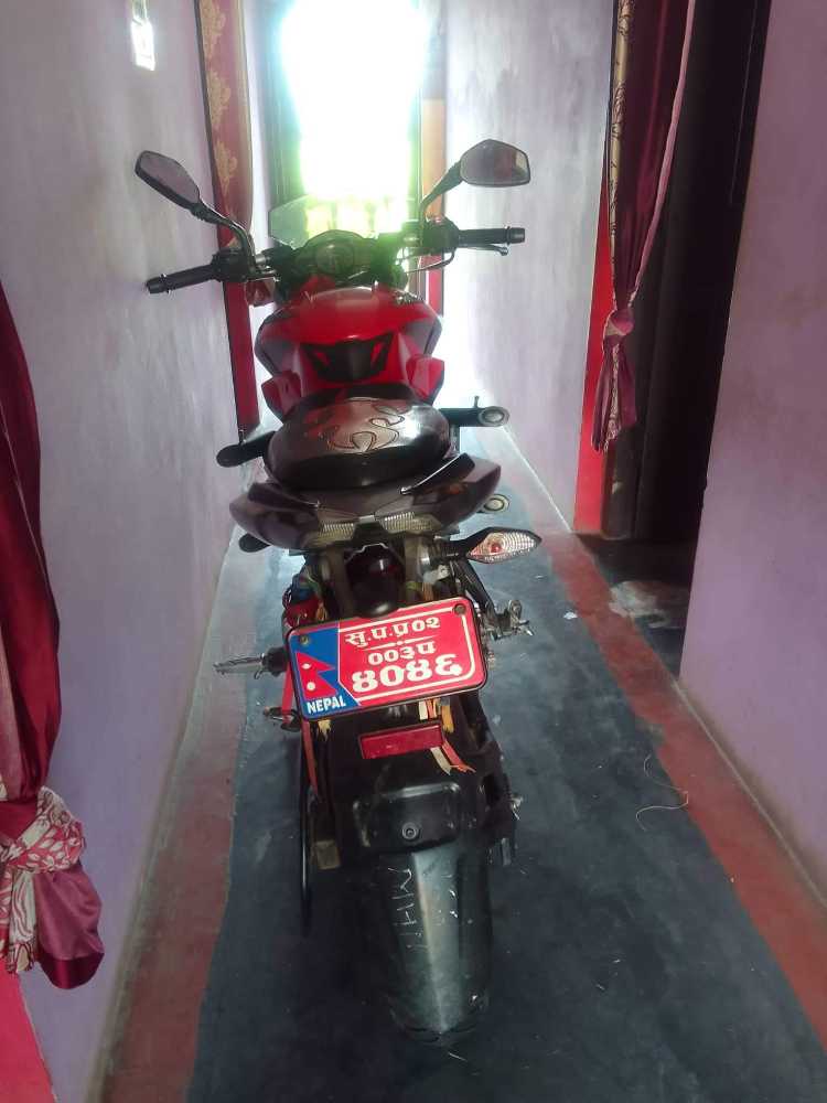 2020 Bajaj NS 200, photo 3