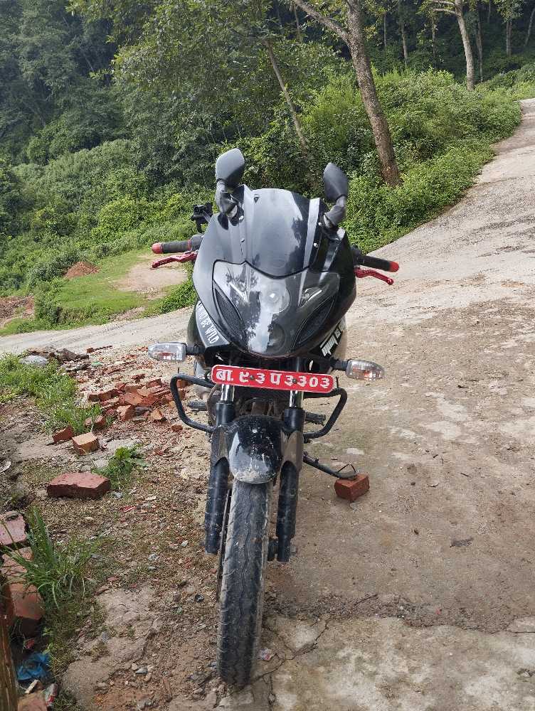 2017 Bajaj Plusar 220, photo 2