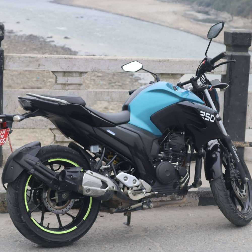 2018 Yamaha FZ 25, photo 3