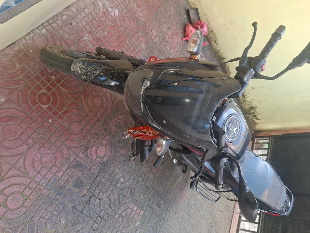 2020 Bajaj Plusar 150, photo 2