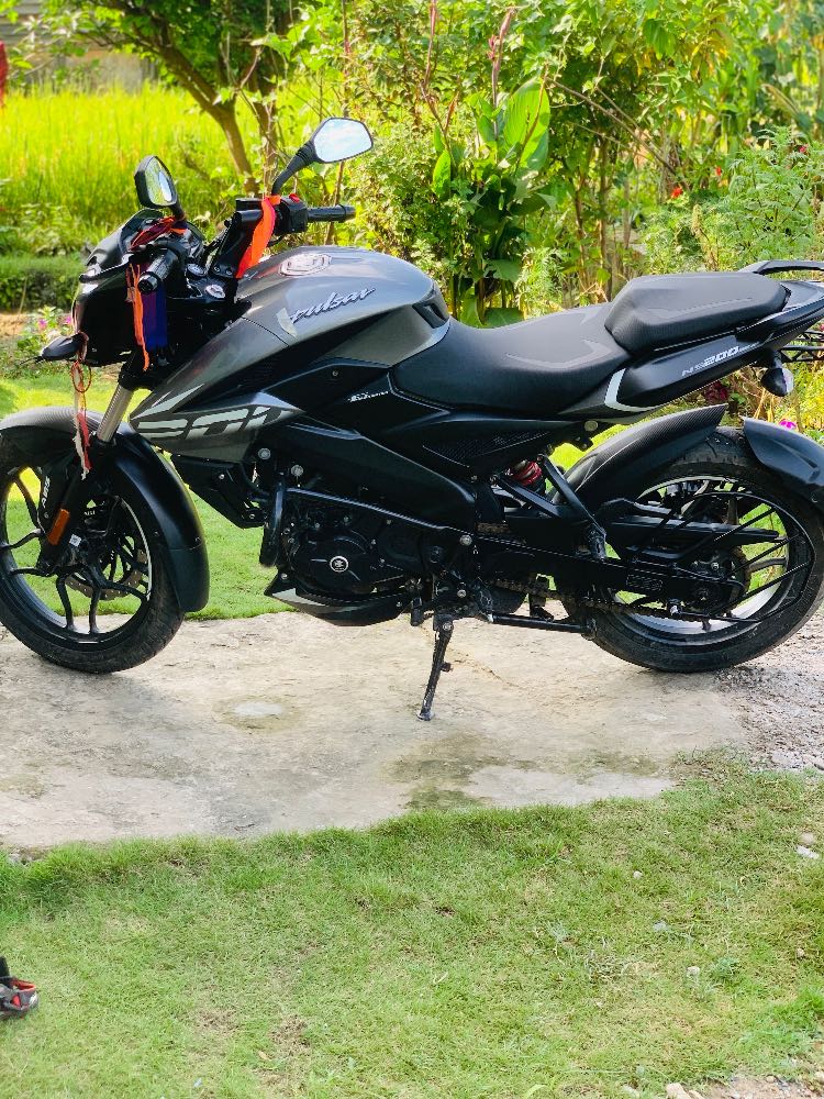 2020 Bajaj Plusar 150, photo 2
