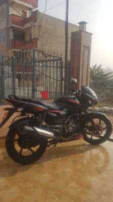 2021 Bajaj Plusar 150, photo 2