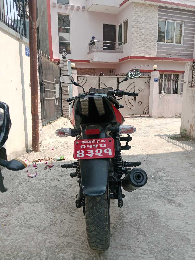 2020 Bajaj Plusar 150, photo 3