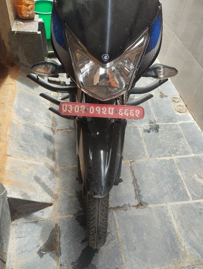 2019 Bajaj Plusar 150, photo 2