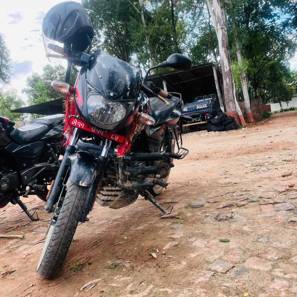 2020 Bajaj Plusar 150, photo 2