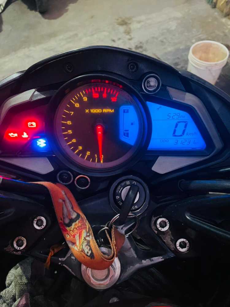2016 Bajaj Plusar 150, photo 4