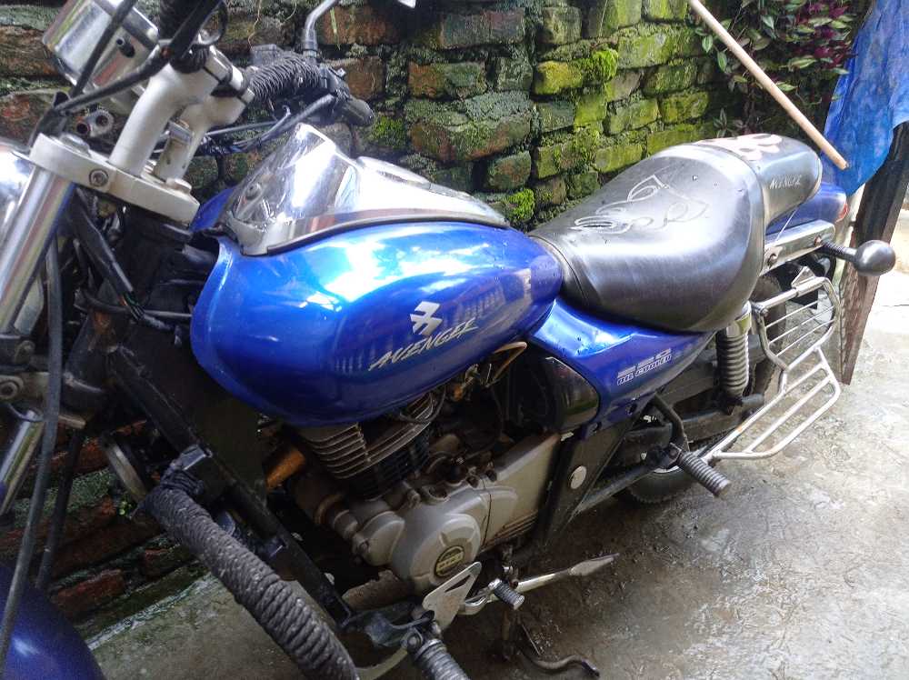 2011 Bajaj Avenger 220, photo 3