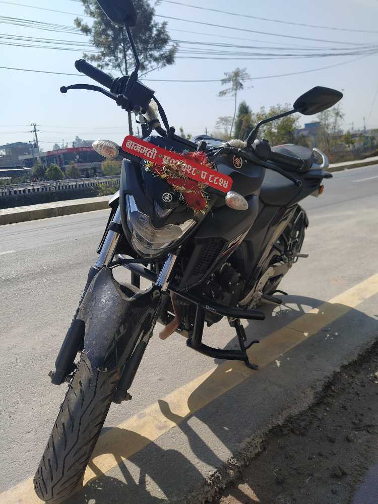 2020 Yamaha FZS 25, photo 3