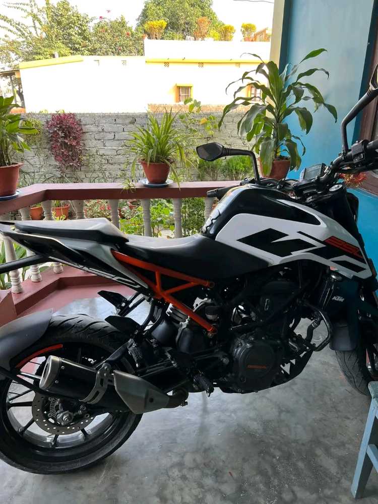 2019 KTM Duke 250, photo 3