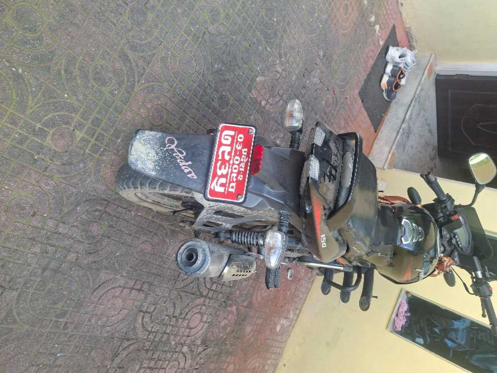 2020 Bajaj Plusar 150, photo 3