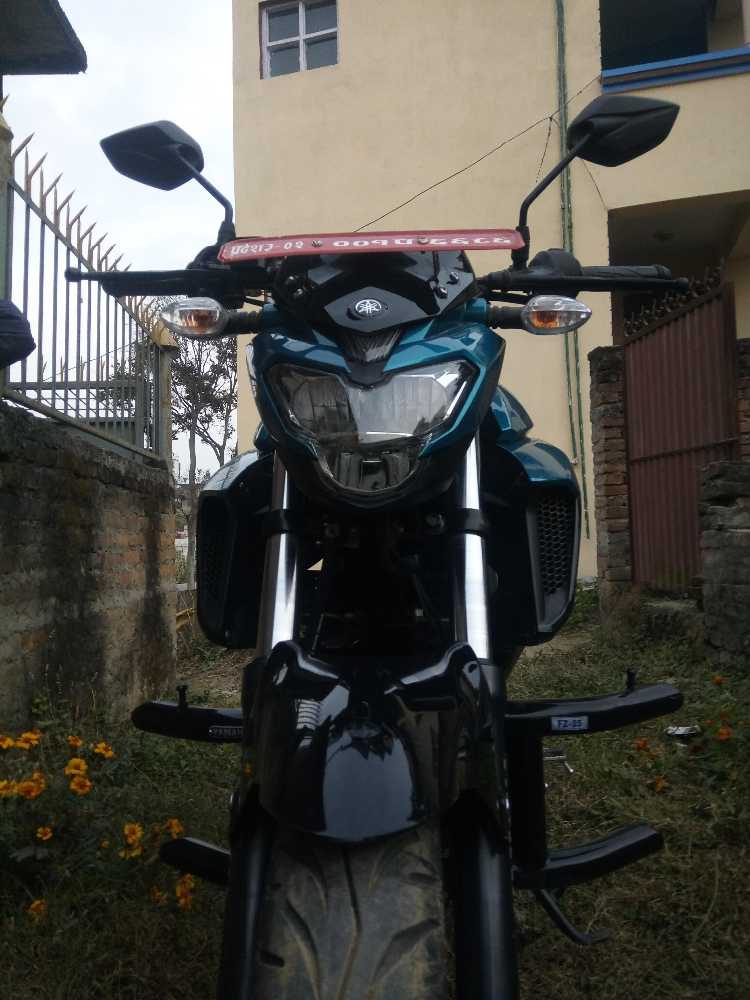 2018 Yamaha FZ 25, photo 2
