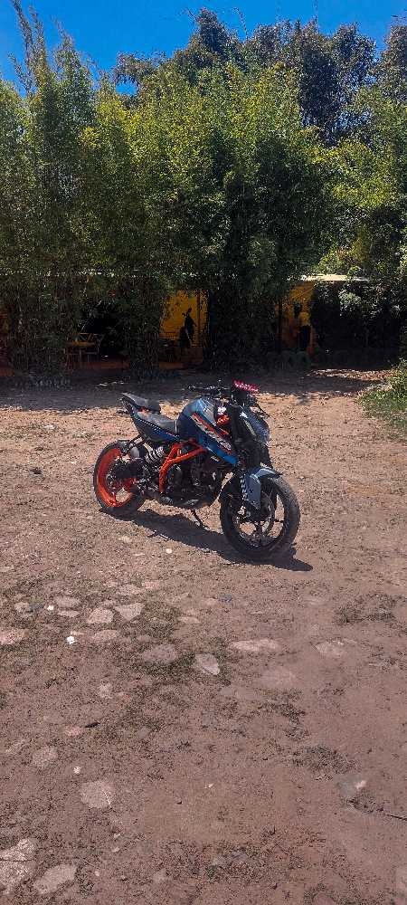 2024 KTM Duke 390
