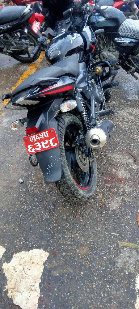 2020 Bajaj Plusar 150, photo 2