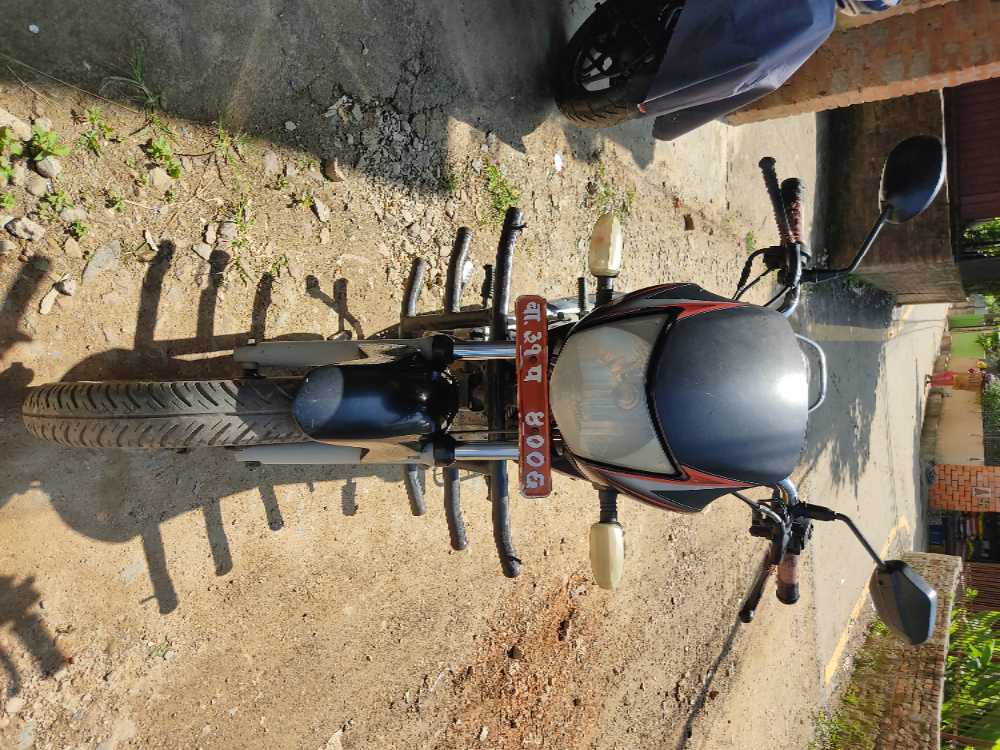 2008 Honda Shine, photo 3