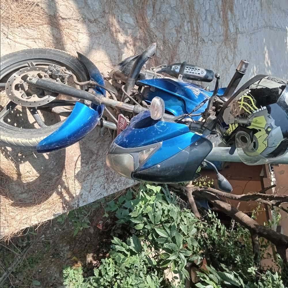 2010 Bajaj Plusar 150, photo 3