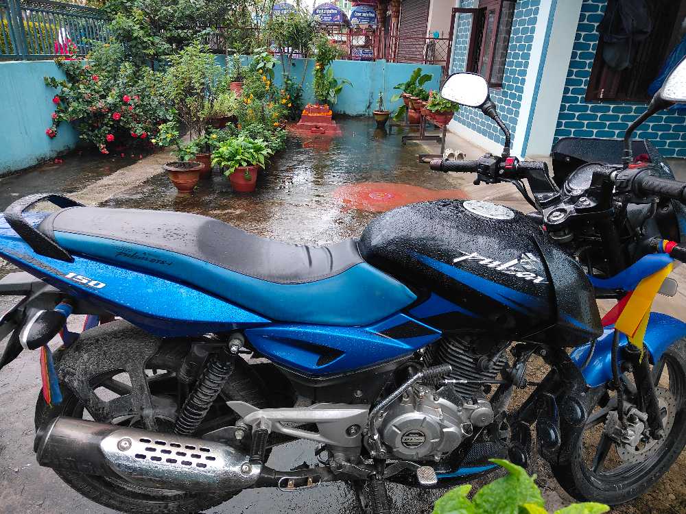 2017 Bajaj Plusar 150, photo 3