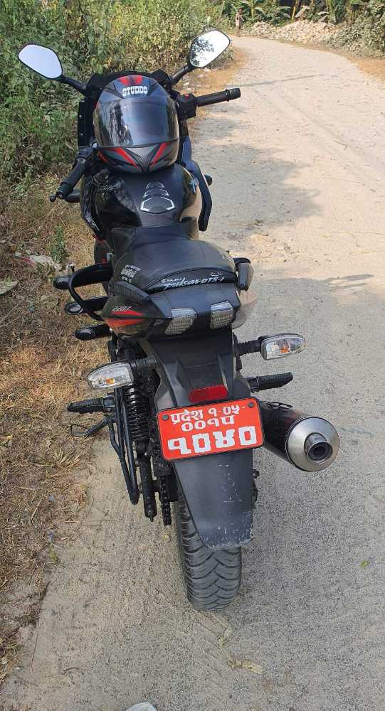 2020 Bajaj Plusar 220, photo 3