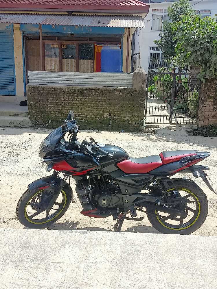 2019 Bajaj Plusar 220, photo 3