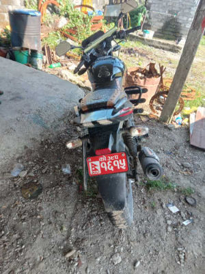 2019 Bajaj Plusar 150, photo 2