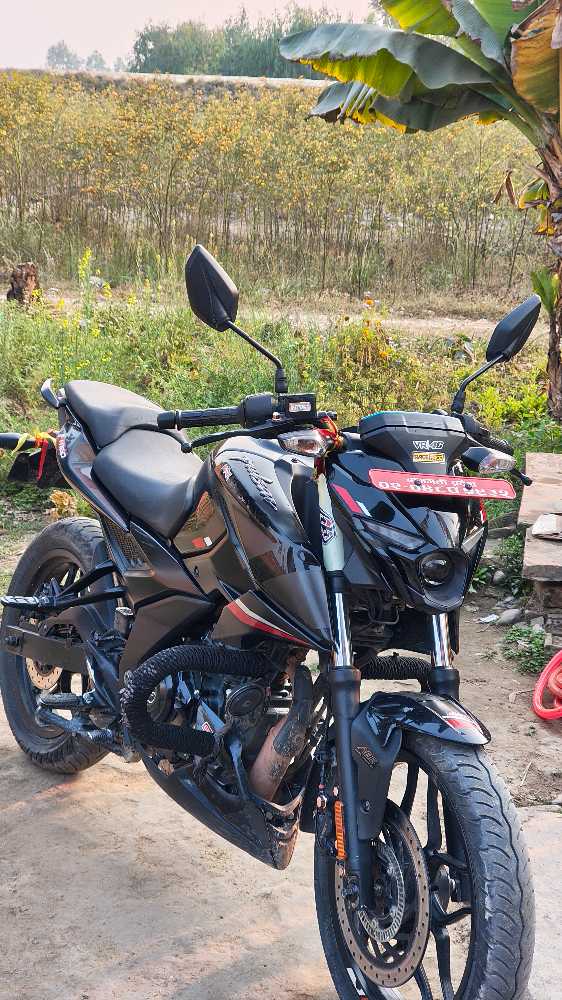 2023 Bajaj NS 160, photo 2