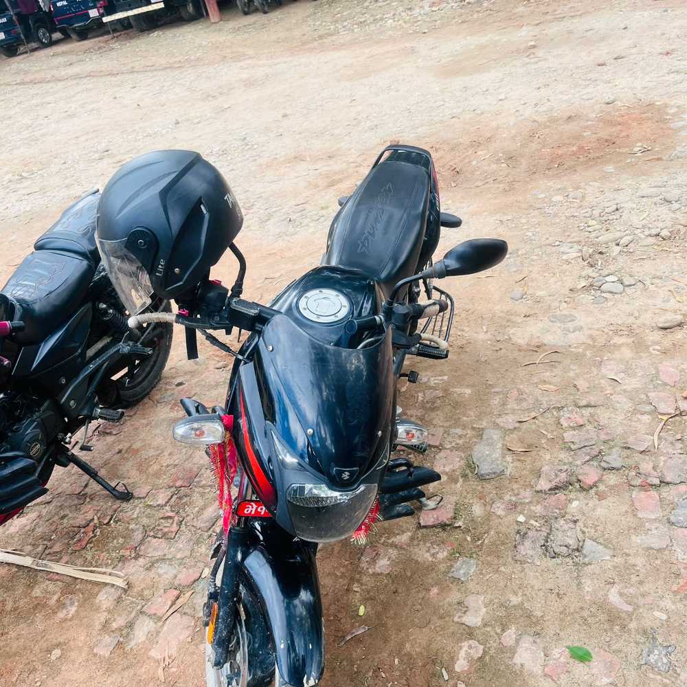 2020 Bajaj Plusar 150, photo 3