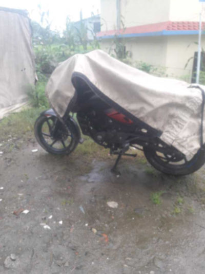 2017 Bajaj Plusar 150, photo 3
