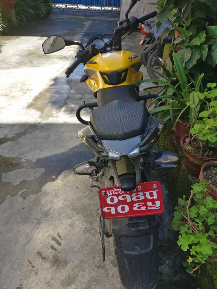 2019 Bajaj NS 200, photo 2