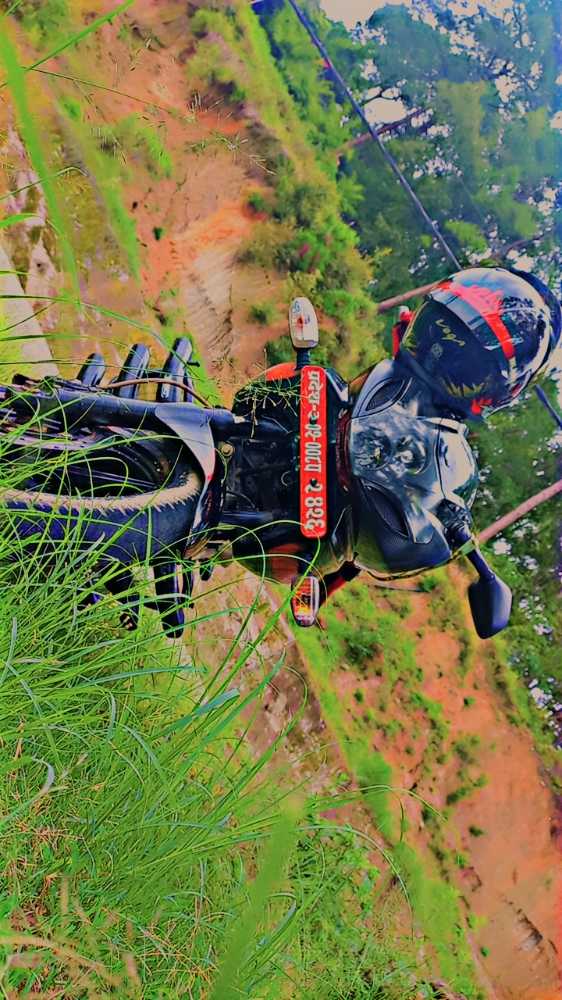 2019 Bajaj Plusar 220, photo 3