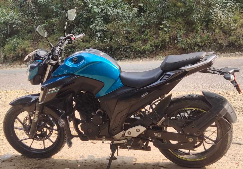 2018 Yamaha FZ 25, photo 4