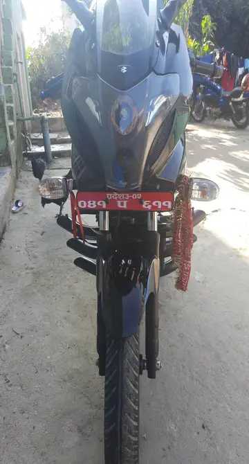 2020 Bajaj Plusar 220, photo 2